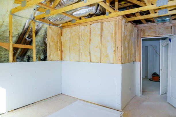Best Local Insulation Services  in Clearwater, KS